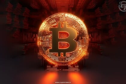 Bitcoin: The Evolution from Concept to Cryptocurrency King