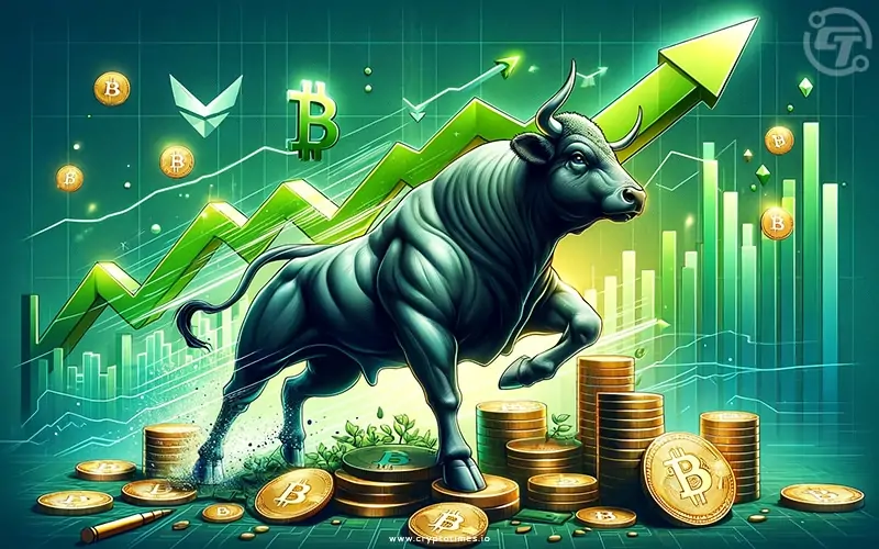 Bitcoin Bull Run 2024