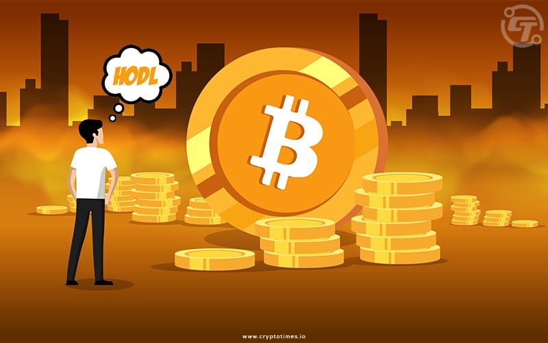 Bitcoin Hodler website