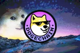 Dogechain the ‘Other Knockoff Token Article Website 2