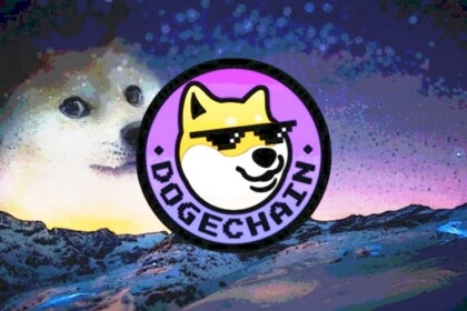 Dogechain the ‘Other Knockoff Token Article Website 2