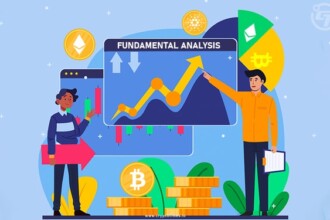 Fundamental Analysis article