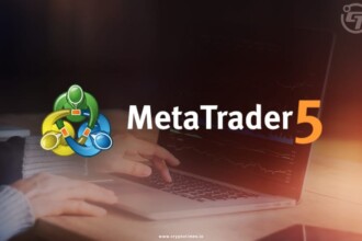 Meta trader 5 Article image
