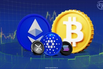 Price Predictions For Top 5 Cryptocurrencies For 2024 1