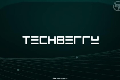 Techberry Review 1