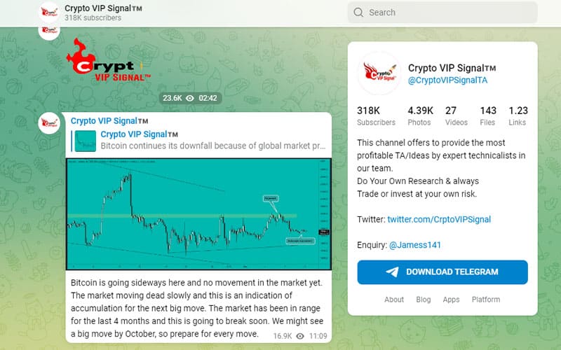 Telegram Channel Crypto VIP Signal