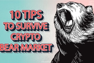 Tips to survive bear market Article Wesbsite