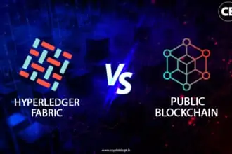 Hyperledger Fabric Vs. Public Blockchain