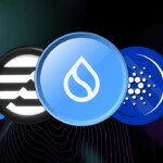 Exploring Blockchain Landscape Top Projects To Become 'Next Solana