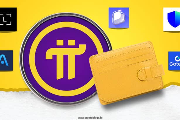 6 Best Pi Network Wallets for Every Pioneer in 2025